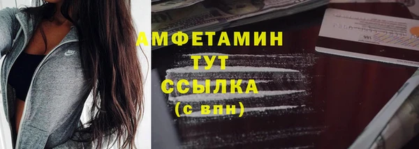 индика Беломорск
