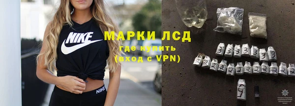 индика Беломорск
