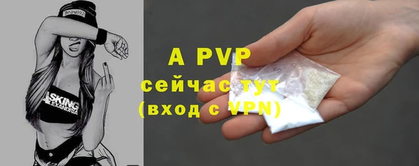 индика Беломорск