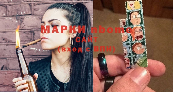 индика Беломорск