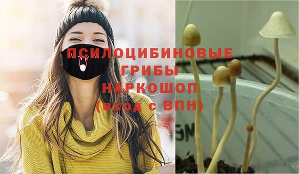 индика Беломорск