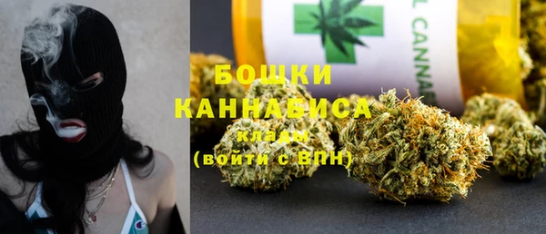 индика Беломорск