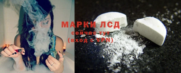индика Беломорск